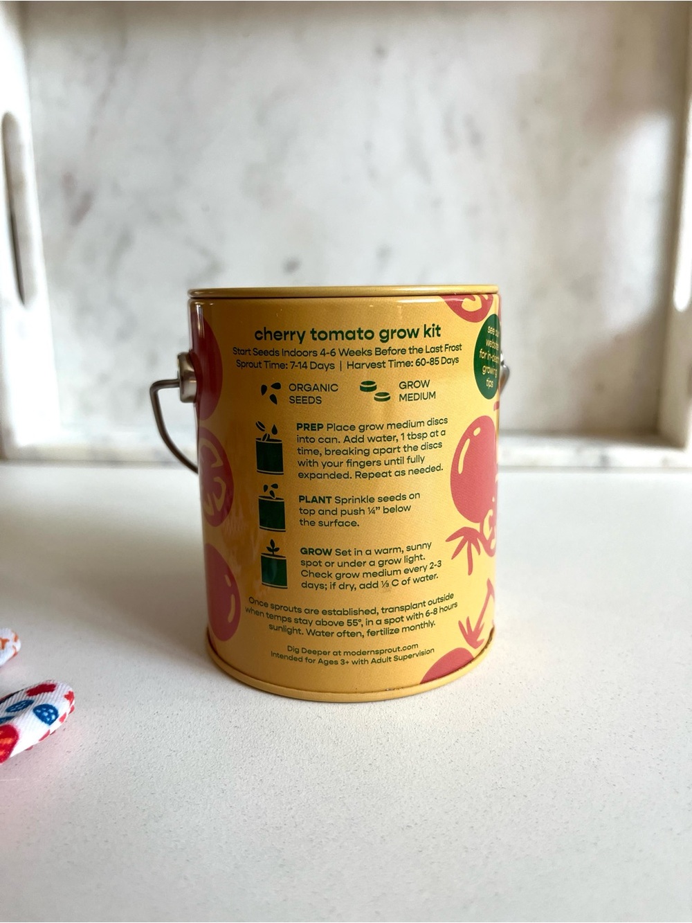 Cherry Tomato Gardening Kit with Floral Gloves - Picture 5 of 6